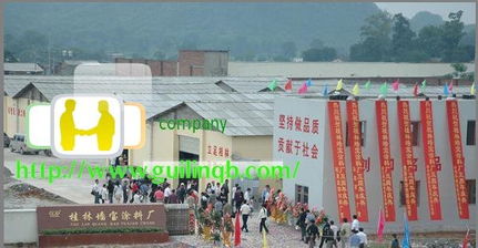 桂林山水甲天下 一次心灵与自然的邂逅